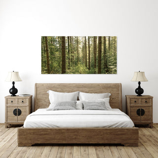 Panoramic Oregon Forest Photo, Canvas Wall Art or Photo Print