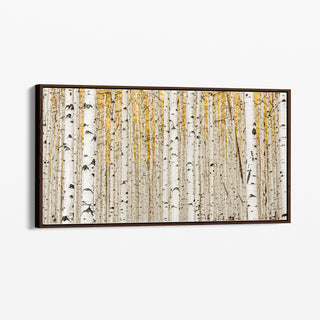 Gold Framed Aspen Birch Tree Canvas - Extra Large Wall Art - Nature Photography for Living Room, Bedroom or Office - Modern, Minimalist Home Decor