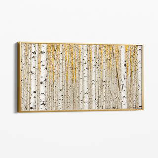 Gold Framed Aspen Birch Tree Canvas - Extra Large Wall Art - Nature Photography for Living Room, Bedroom or Office - Modern, Minimalist Home Decor