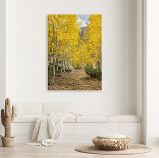 Fall Aspen Trees Landscape Canvas - Nature Wall Art for Rustic or Modern Home Decor