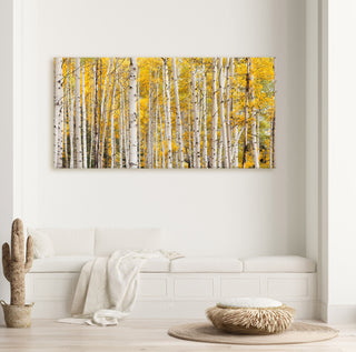 Panoramic Long Narrow Aspen Tree Canvas Wall Art - Birch Tree Fall Color - Over the Sofa- Home Decor - Living Room, Bedroom, or Office