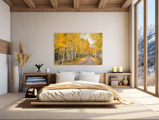 Fall Aspen Tree Forest Canvas Wall Art - Birch Tree Photo - Landscape Nature Photography