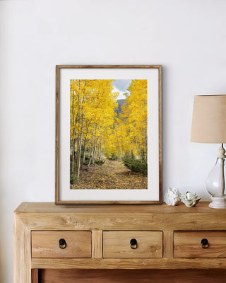 Fall Aspen Trees Landscape Canvas - Nature Wall Art for Rustic or Modern Home Decor