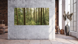 Panoramic Oregon Forest Photo, Canvas Wall Art or Photo Print