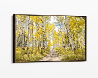 Framed Aspen Tree Forest Canvas - Colorado Landscape Photography, Home Office Decor