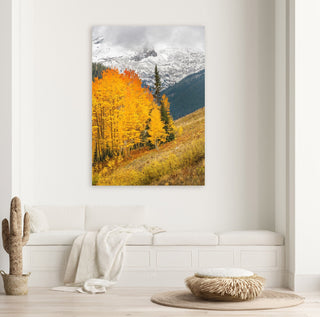 Colorado Aspen Mountain Print Wall Art - Colorado Rocky Mountains - Fall Color Aspens - Nature Photography Print for Home or Office