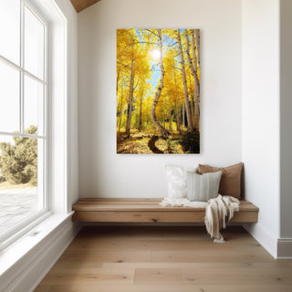Fall Color in Colorado - Aspen Canvas Wall Art, Dancing Aspens, Autumn Birch Trees, Forest Photography, Fall Landscape Art Prints