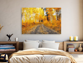 Autumn Path in the Aspen Trees - Colorado Canvas Wall Art