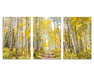 Set of 3 Fall Aspen Tree art prints, Canvas Wall Art, Birch Tree, Triptych, Colorado, Forest Picture, Nature Photography, Nature Wall Art