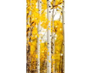 Long Narrow Framed Aspen or Birch Tree Canvas Wall Art