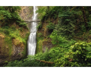 Multnomah Falls Oregon Waterfall Photo - Canvas Print