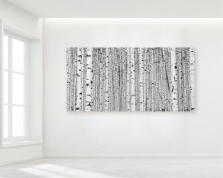 Modern Black and White Aspen Tree Wall Art, Birch Tree, Panoramic, Colorado canvas, Nature photography, Large Living Room Art