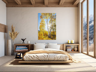 Aspen Trees Photo Canvas Wall Art - Colorado Landscape