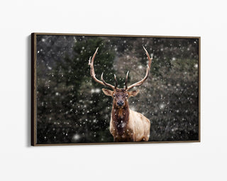 Rustic Framed Canvas Elk Wall Art - Winter Wildlife Photography - Modern Fireplace Picture - Lodge Cabin Rustic Home Decor Man Cave