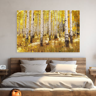 Fall Aspen Tree Trunks Wall Art - Canvas Art Prints