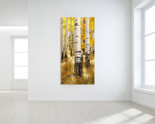 Tall Narrow Aspen Tree Wall Art - Colorado Forest Canvas - Nature Photography Fine Art Print - Large Living Room Decor