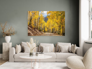 Colorado Aspen Country Road Wall Art - Country Road San Juan Mountains - National Forest Home Decor - Nature Photography Living Room Office