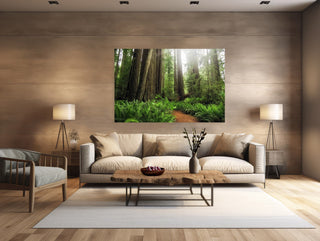 Redwood Forest Acrylic Wall Art Print - Modern Decor for Living Room - Minimalist or Contemporary Home - Northern California Photography