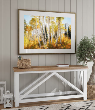 Fall Aspen Forest Home Decor - Canvas or Fine Art Photo Print