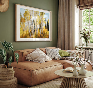 Fall Aspen Forest Home Decor - Canvas or Fine Art Photo Print