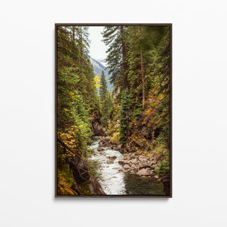 Mountain Forest Framed Canvas Wall Art - Colorado Photography - Nature Picture - Lodge Cabin Rustic Home Decor