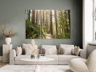 Set of 3 Forest Canvas Wall Art - Home Decor - Nature Photography Prints - Sunlit Hiking Path in the Woods - Oregon National Forest