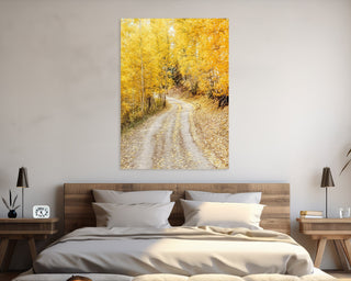 Colorado Golden Aspen Tree Photo, Forest Wall Art, Fall Landscape, Canvas Wall Art, Colorado Wall Art, Nature Wall Art, Home Decor, Birch Tree Picture