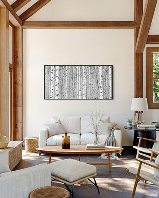 Black and White Framed Aspen Tree Canvas