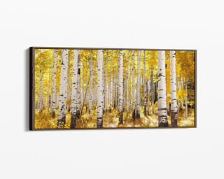 Colorado Aspen Framed Canvas Wall Art - Large Forest Photo Art Prints - Nature Gifts for Him or Her - Home Decor - Birch Trees