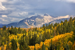 Mountain Canvas Wall Art