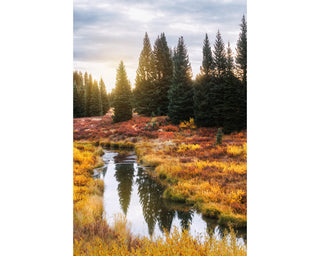 Colorado Wilderness Sunrise - Canvas Wall Art or Photo Print for Home Decor, Mountain Rustic Lodge Style