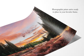 Rocky Mountain Sunrise, Colorado Landscape Canvas Wall Art or Photo Print